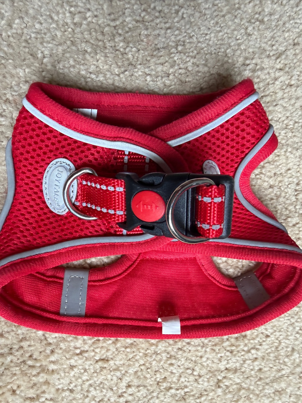 Joytail Red Harness